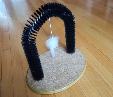 Photo of free Cat self-brush (North Chelmsford) #1