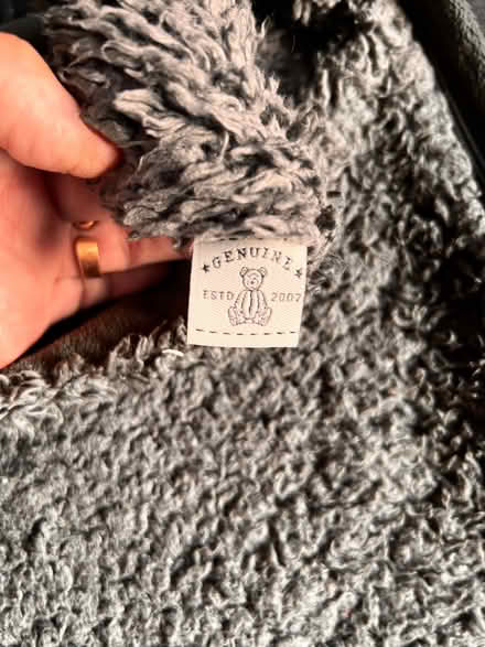 Photo of free 2 x genuine teddy bear grey cushion covers (Spondon DE21) #4