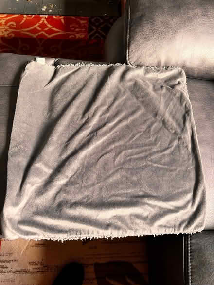 Photo of free 2 x genuine teddy bear grey cushion covers (Spondon DE21) #3
