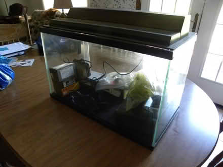 Photo of free 10 Gallon Aquarium (Troy) #1
