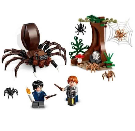 Photo of free LEGO Harry Potter Aragog's Lair (Whetstone N20) #1