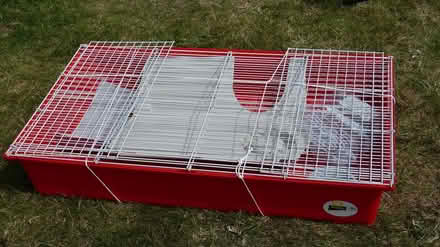 Photo of free Animal cage complete 37" x 23" (Gunton NR32) #2