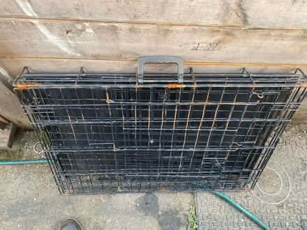 Photo of free Dog cage (Nottingham NG5) #2
