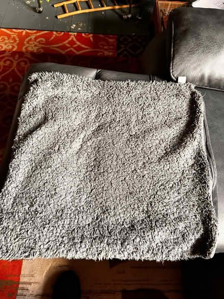 Photo of free 2 x genuine teddy bear grey cushion covers (Spondon DE21) #1