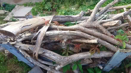 Photo of free Fire wood (Longwell Green) #1