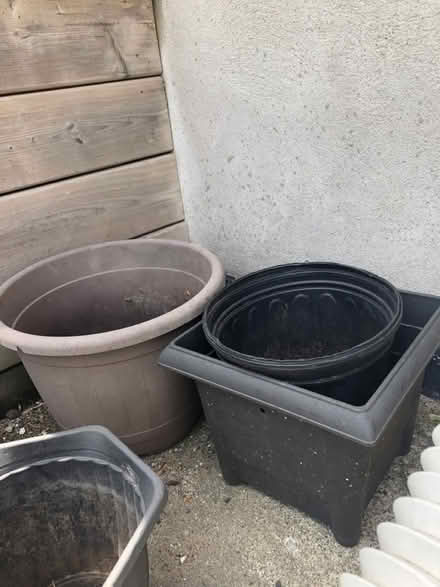 Photo of free Plant pots galore (North York) #4