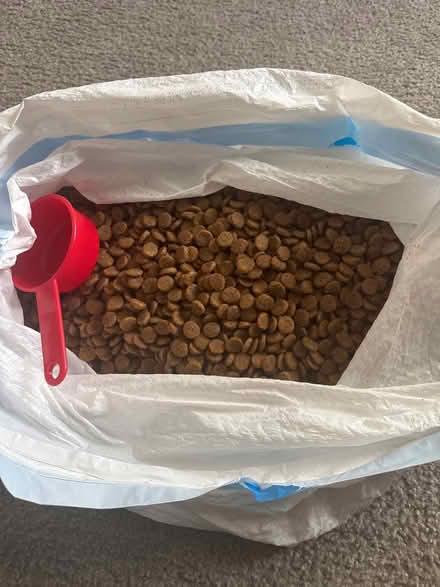 Photo of free Dog Food (Countryside) #1