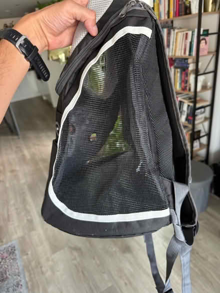 Photo of free Backpack for small dog (Charlton SE7) #2