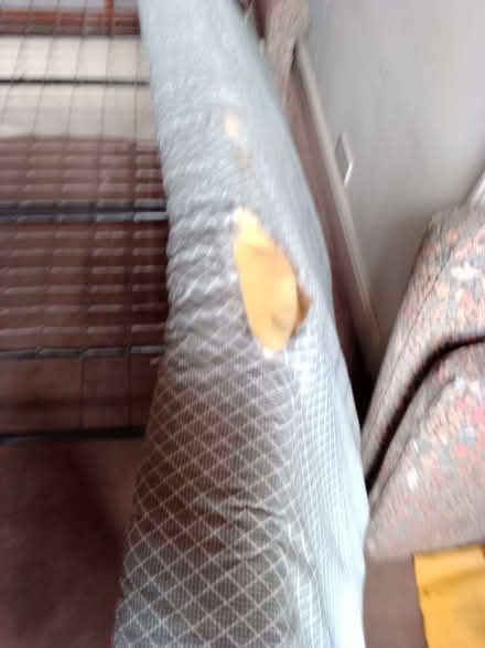 Photo of free Sofa bed (Hillsborough S6) #3