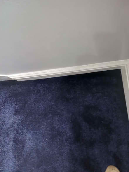Photo of free Carpet (Wadsley S6) #1