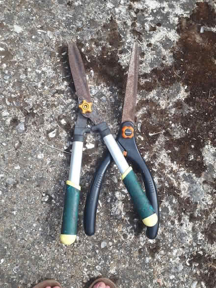 Photo of free 2 pairs of shears (Aldingbourne PO20) #1