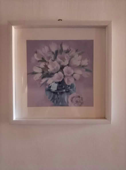 Photo of free Beatiful pic (South ockendon RM15) #2