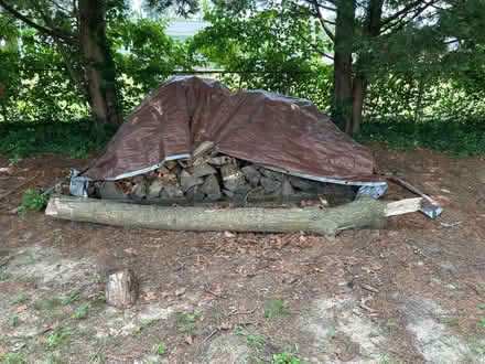 Photo of free Fire Wood (Pasadena, MD) #1