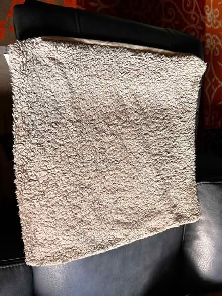 Photo of free 2 x genuine teddy bear beige cushion covers (Spondon DE21) #3