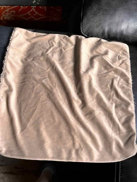 Photo of free 2 x genuine teddy bear beige cushion covers (Spondon DE21) #4