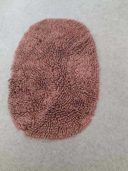Photo of free Bath rug (Fords Farm RG31) #1