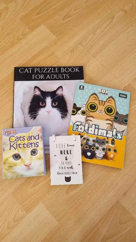 Photo of free Cat assortment of items (St Helens TN35) #1