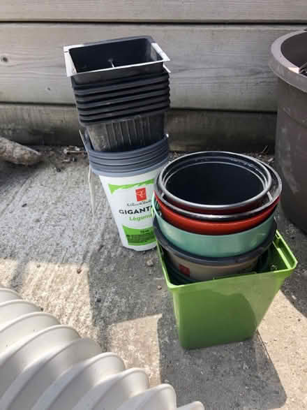 Photo of free Plant pots galore (North York) #2