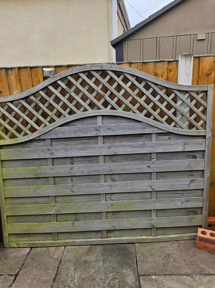Photo of free Garden fence panel (Mancot. Flintshire) #1