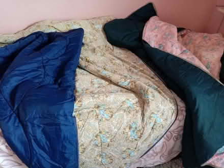 Photo of free 2 single lt. wt. sleeping bags (Emsworth PO10) #3