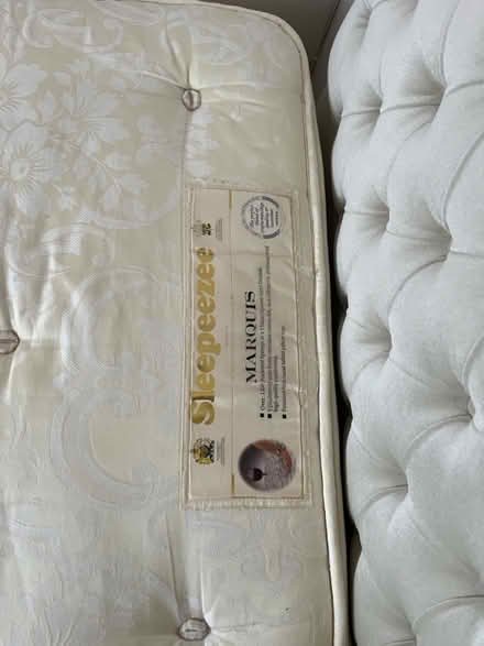 Photo of free Single bed and mattress (Mickleover DE3) #3
