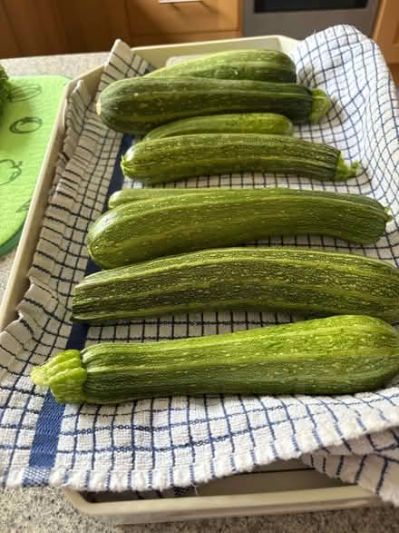 Photo of free Courgettes (Lyncombe) #1