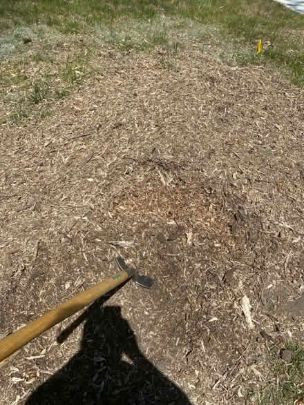Photo of free Yard mulch (Schaumburg) #2