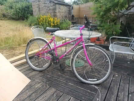 Photo of free Mountain Bike (in need of some tlc) (Cromford, DE4) #1