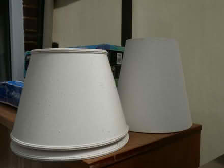 Photo of free Lampshades (Maiden Erlegh Nature Reserve RG6) #1
