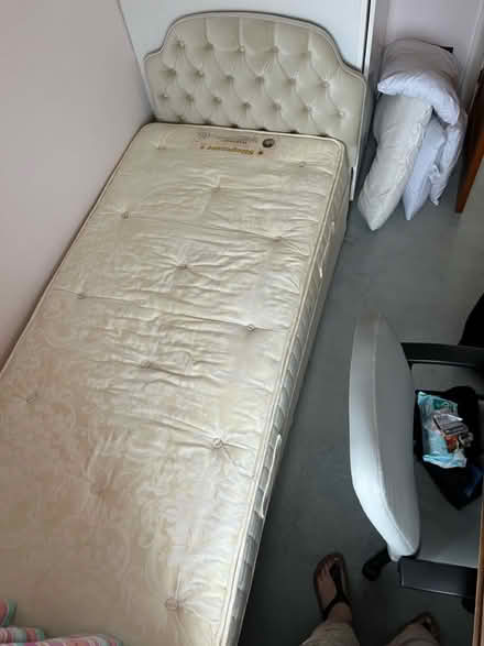 Photo of free Single bed and mattress (Mickleover DE3) #4