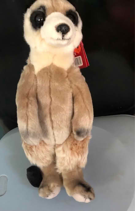 Photo of free Meerkat toy (Westbury Wilts BA13) #1