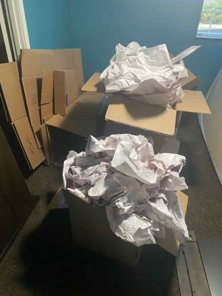 Photo of free Moving boxes (Southeast) #1