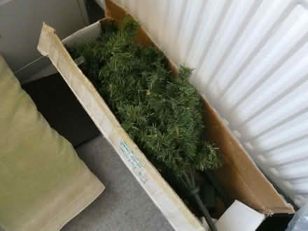 Photo of free Artificial Christmas Tree (Maiden Erlegh Nature Reserve RG6) #1