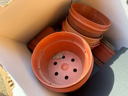 Photo of free assorted plastic plant pots (CB6 Ely) #1