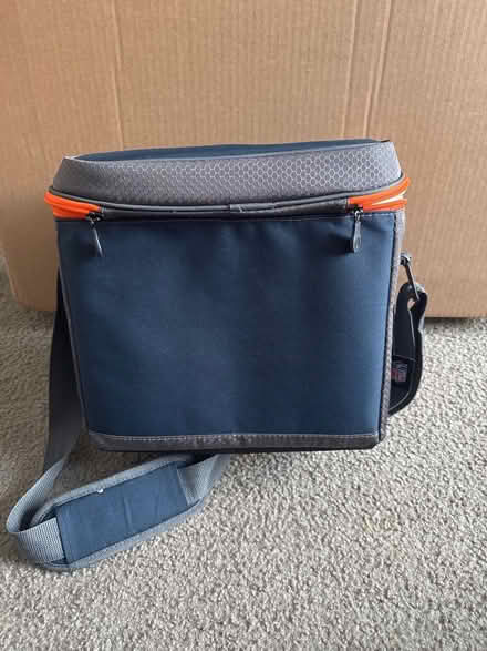 Photo of free Bears Cooler (Countryside) #3