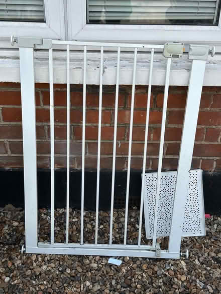 Photo of free Tall baby gate / dog gate (Penge SE20) #1