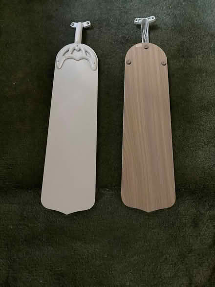 Photo of free ceiling fan (Spring Hill, Somerville) #1