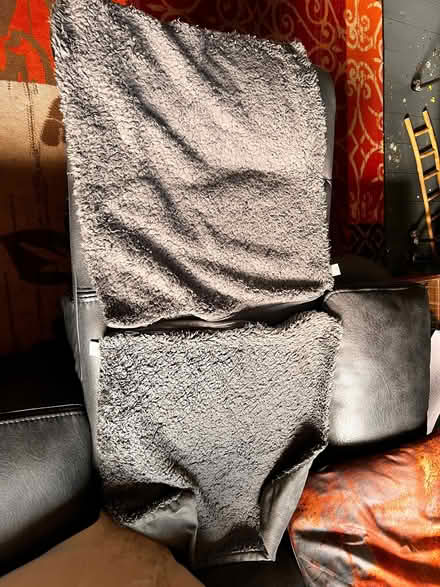 Photo of free 2 x genuine teddy bear grey cushion covers (Spondon DE21) #2