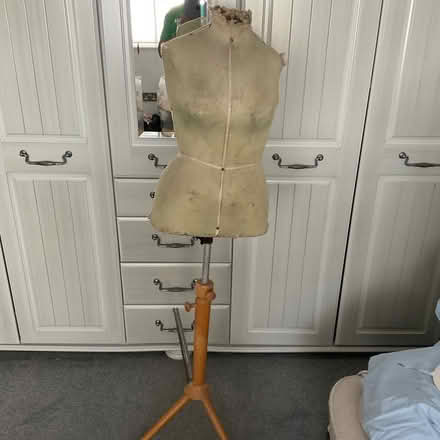 Photo of free Sewing mannequin (Torrisholme) #1