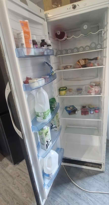 Photo of free Large fridge (Rogerstone) #2