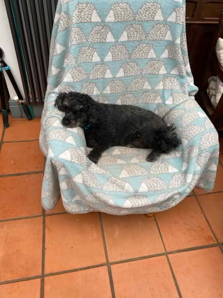 Photo of free Recliner chair (Heysham LA3) #4