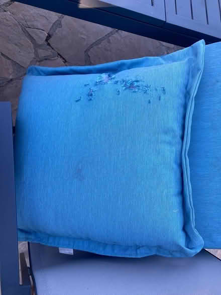 Photo of free outdoor cushions (Tarzana 91356) #2