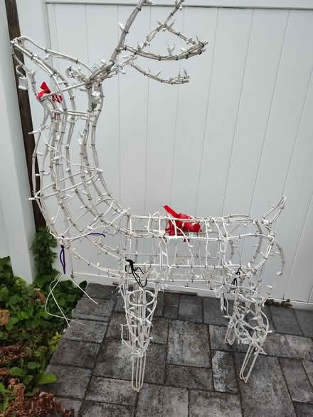 Photo of free Christmas Reindeer (East Meadow Area) #1