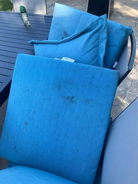 Photo of free outdoor cushions (Tarzana 91356) #3
