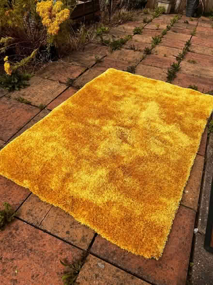 Photo of free deluxe shaggy rug (Spondon DE21) #1