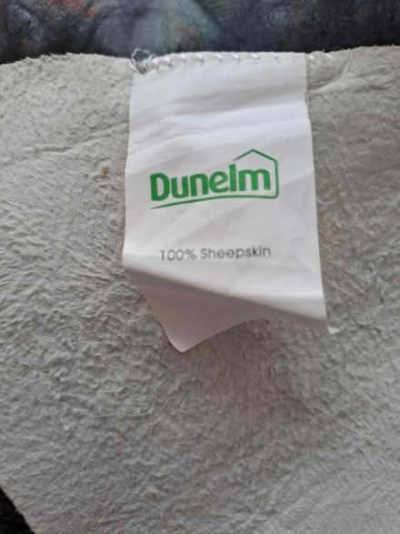 Photo of free Black Sheepskin Rug (Harefield SO19) #4