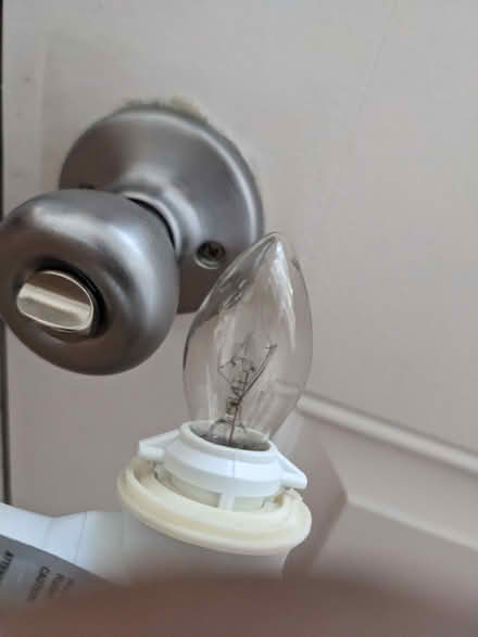 Photo of Small light bulb (Tingley Beach) #1