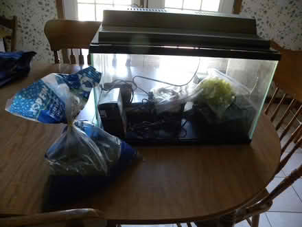 Photo of free 10 Gallon Aquarium (Troy) #2