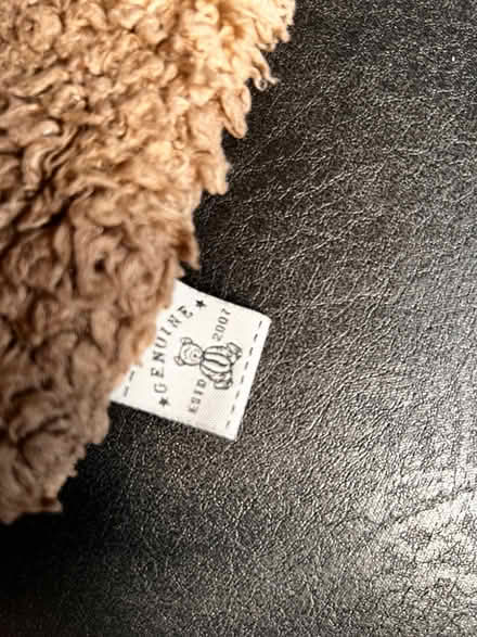 Photo of free 2 x genuine teddy bear beige cushion covers (Spondon DE21) #2