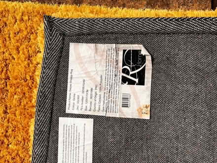 Photo of free deluxe shaggy rug (Spondon DE21) #2